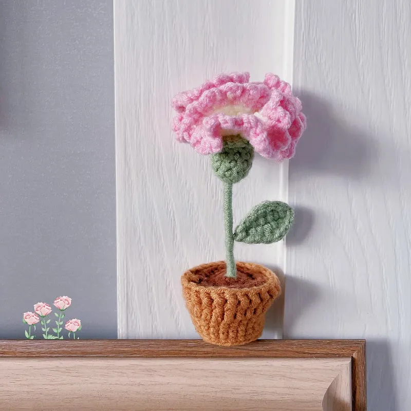 Cute DIY Mini Crochet Pot Culture