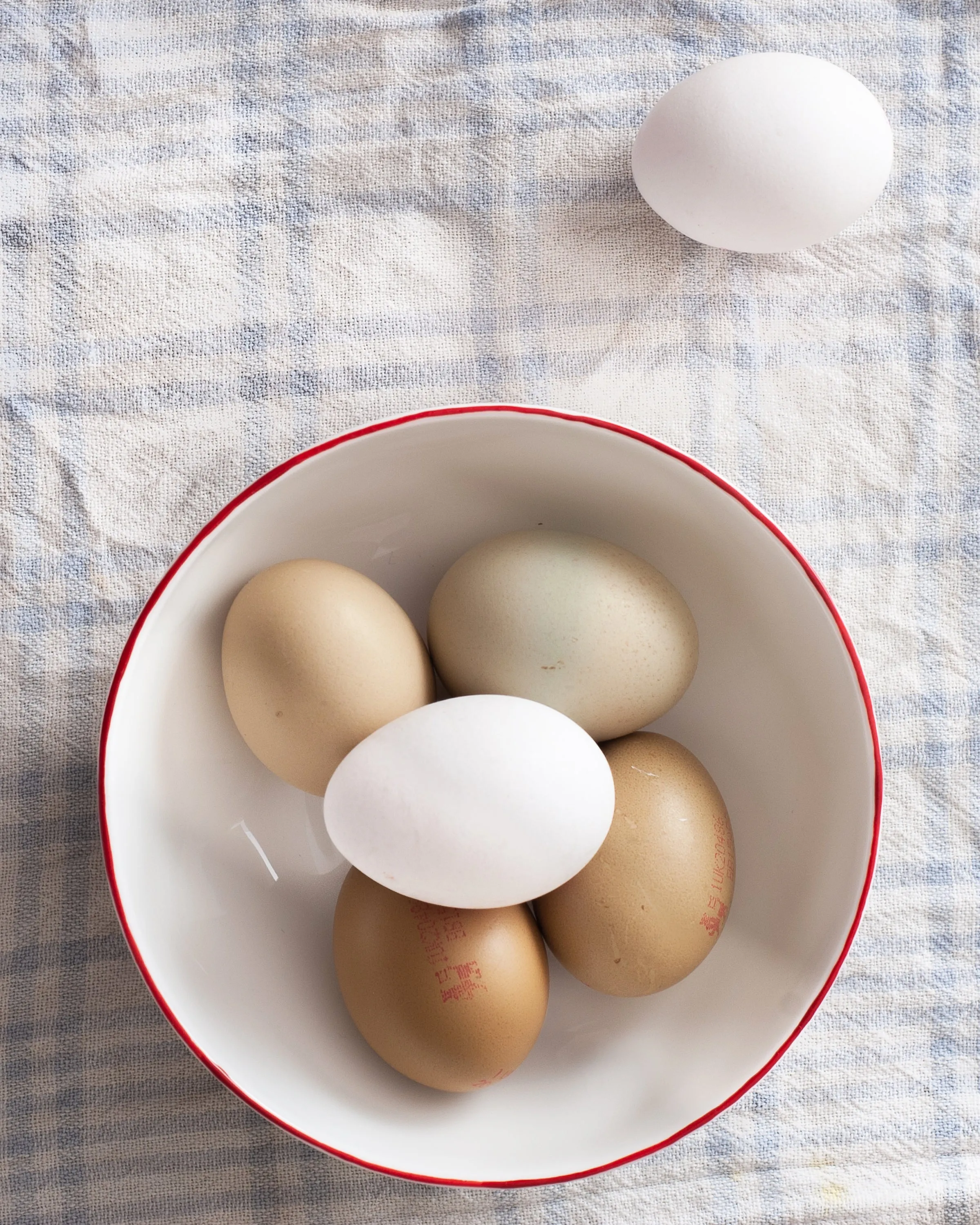 Feldspar Set of 4 Geranium Cereal Bowls